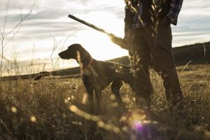 Απαγόρευση κυνηγιού για αλλά 5 χρόνια σε 11.516 στρέμματα της Δ.Ε. Μενελαΐδος Σοφάδων