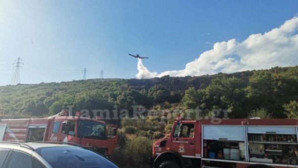 Αποκαταστάθηκε η κυκλοφορία στην Ε.Ο Λαμίας - Δομοκού μετά από προσωρινή διακοπή εξαιτίας πυρκαγιάς