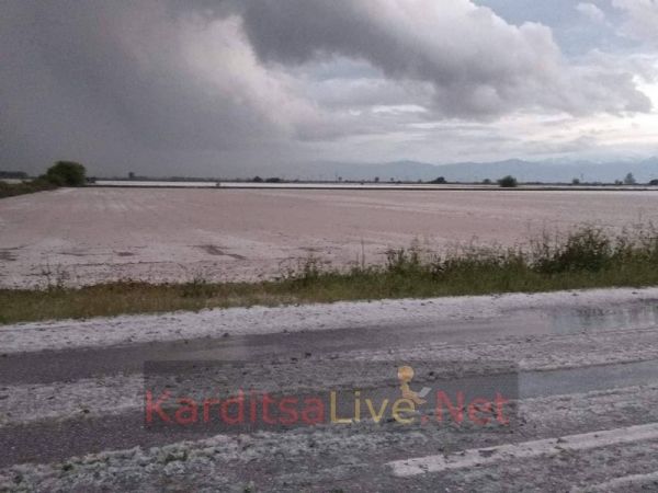 Σφοδρή χαλαζόπτωση στα χωριά των Δήμων Παλαμά και Φαρκαδόνας - Το &#039;στρωσε κανονικότατα (+Βίντεο)