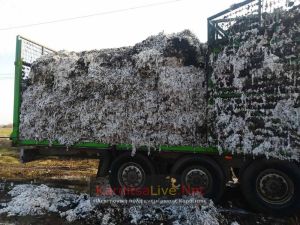 Καίγεται πλατφόρμα με βαμβάκι έξω από τη Μαγούλα (+Φωτο)