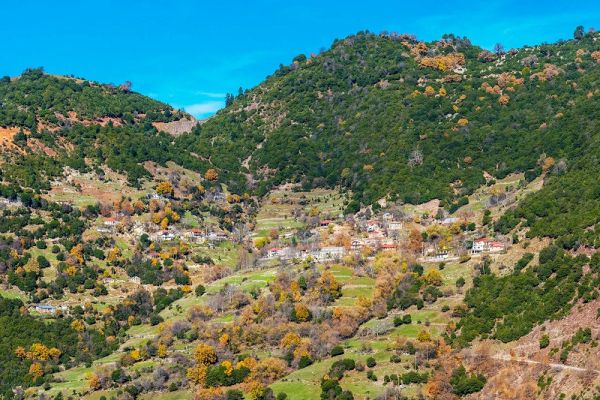 Προσωρινός ανάδοχος για τη βελτίωση πρόσβασης σε γεωργικές και κτηνοτροφικές εκμεταλλεύσεις περιοχών της Αργιθέας