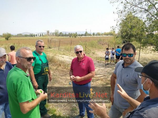 Γ. Σακελλαρίου: Θα ξεπεράσουν τα 20.000 στρέμματα οι ζημιές από την τελευταία χαλαζόπτωση